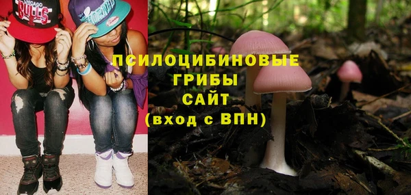 тгк Алексеевка